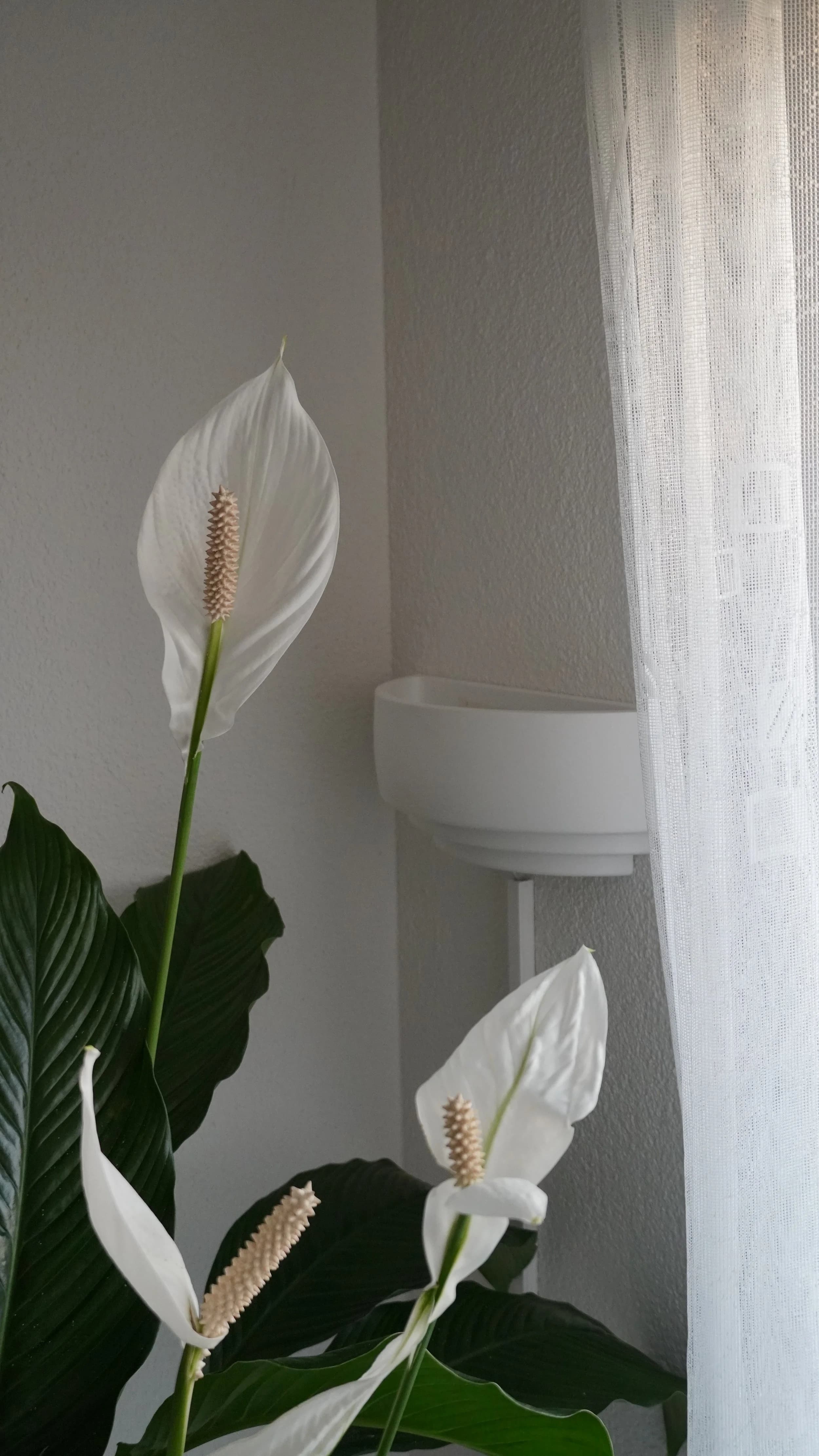 Detailaufnahme der Hue-Installation